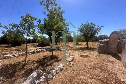 Ruinere i Carovigno, Brindisi, Carovigno - € 97.000 | Ref: Trullo Iovite - foto 17